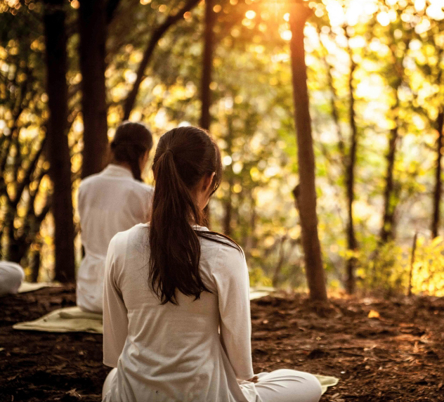 Menschen meditieren im Wald